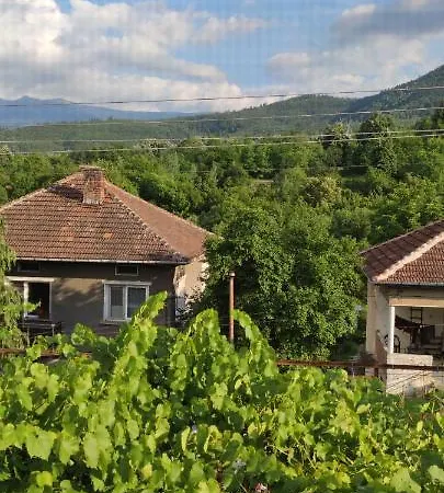 度假居 Berkovitsa Guest House Mountain View